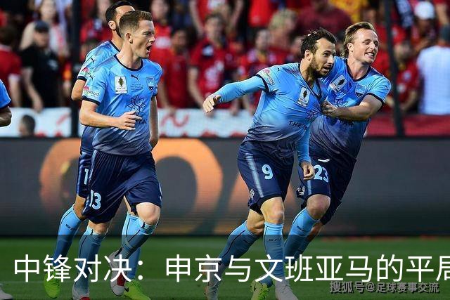 中锋对决：申京与文班亚马的平局之争即将再续